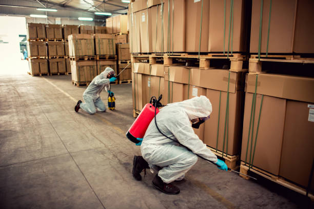 Best Mosquito Control Services  in Hope, AR