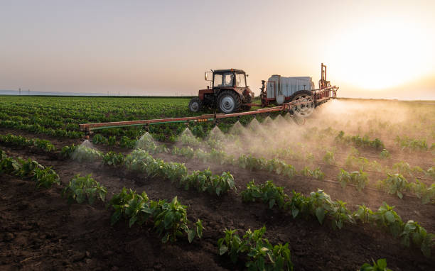 Best Pest Prevention Services  in Hope, AR