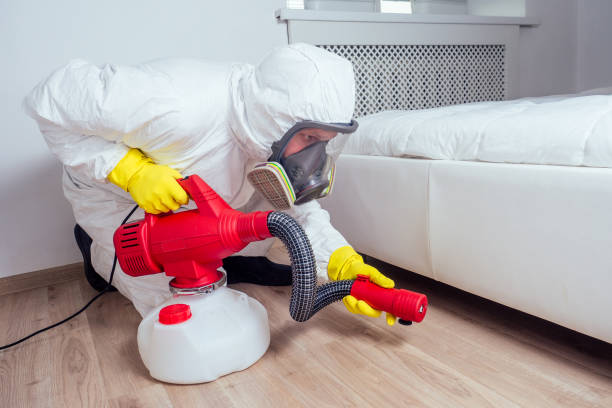 Best Best Pest Control Companies  in Hope, AR