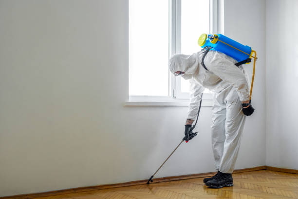 Best Best Pest Control Companies  in Hope, AR