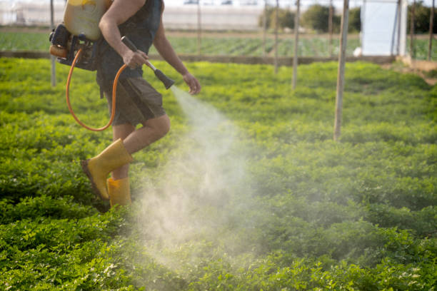 Best Pest Control Near Me  in Hope, AR
