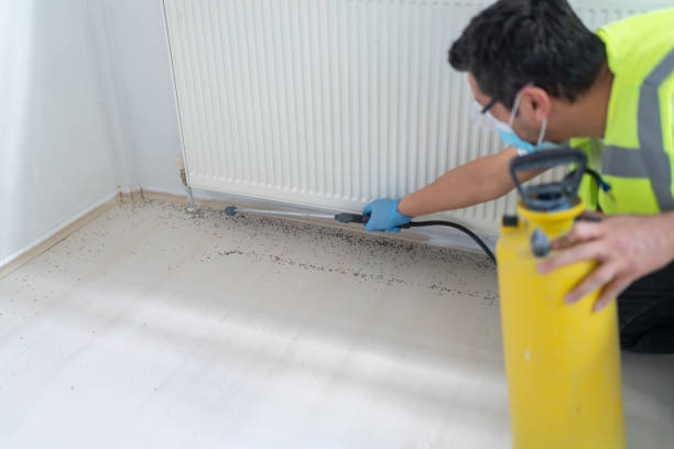 Best Residential Pest Control  in Hope, AR