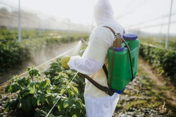 Best Cockroach Control Services  in Hope, AR